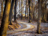 Tanager cabin at Driftless Creek - Chalets