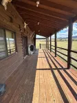 Cozy cabin in beautiful Meeker, CO-10 miles from town, perfect for OHV travelers - Alphydda