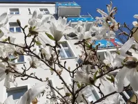 บอร์นโฮลเมอร์ โฮฟ โรงแรมใกล้สวนสาธารณะเมาเออร์