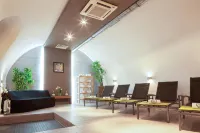 Hotel Cult Frankfurt City - spa