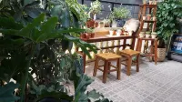 alley homestay Lieu Giai - Pensionat