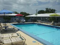 Palm Court Motel - Pool