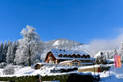Hotel Vitaler Landauerhof - Parkering