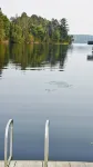Spacious, family-sized, pet-friendly chalet style log home on Lake Chippewa. - Hytter