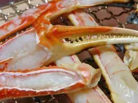 Higashihachibusekogen Seiwaso Hotels in Yabu