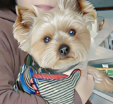 Wakasa Marine Plaza Отели в г. Обама