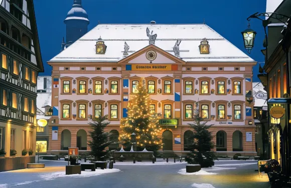 根根巴赫黑森林酒店