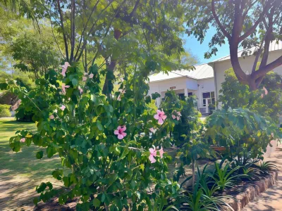 Beulah Court Vineyard Hotels near Thebe River Camping