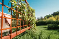 Green Roof Hotel