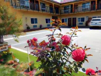 Diamond Inn