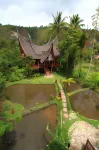 Padi Ecolodge Hotel dekat Surau Nurussalam