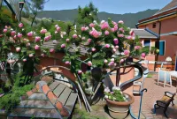 L' Amandola Các khách sạn ở Levanto