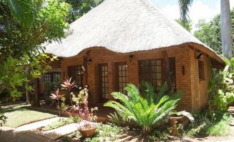 Trees Too Guest Lodge