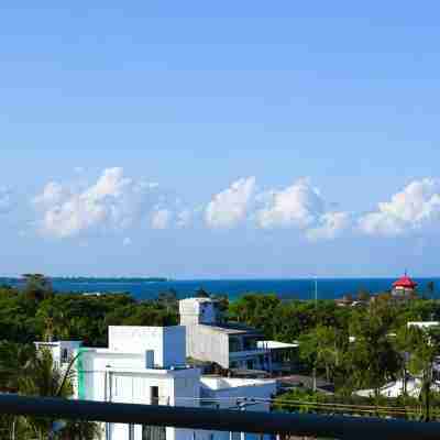 Catamaran6 Guest Inn Others