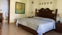 酒店 Posada La Presa - 泳池