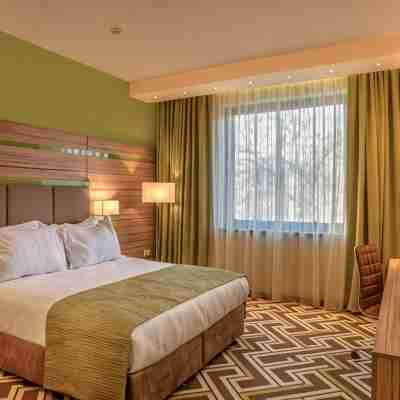 普羅夫迪夫假日酒店 Rooms