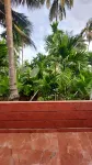 Soham Beach Resort, Diveagar