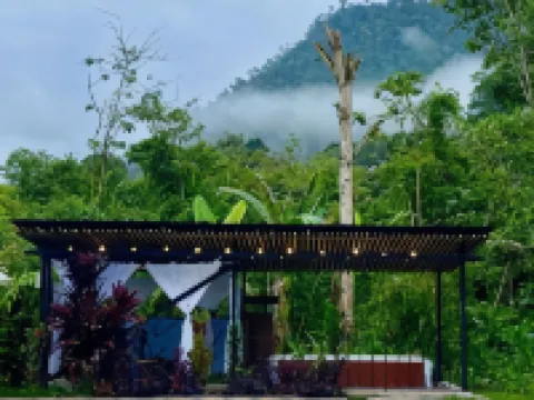 Casa de Piedra Hotels in Mindo