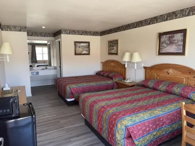 Lakeside Inn & Suites by OYO Mathis I 37
