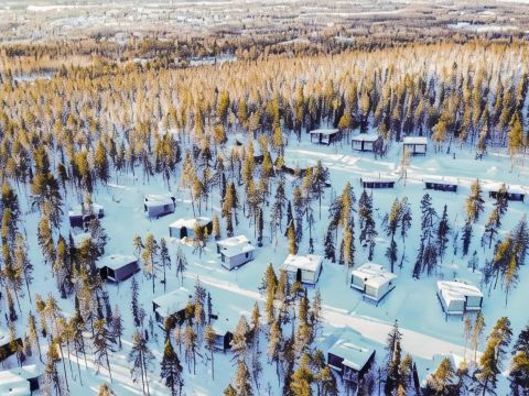 Arctic TreeHouse Hotel