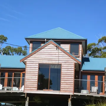 The Tree House