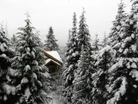 Whistler Village Premier Condo Ski-In Walk Up- Bike Park Direct Access - Hot Tub