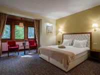 佳作別墅 佩列斯城堡（Peles Castle）附近的飯店