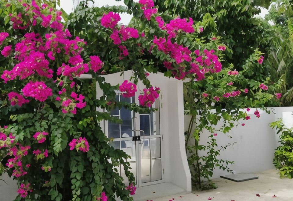 3. 아티리벨리..