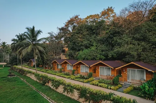 Stone Wood Premier Dandeli - piscina