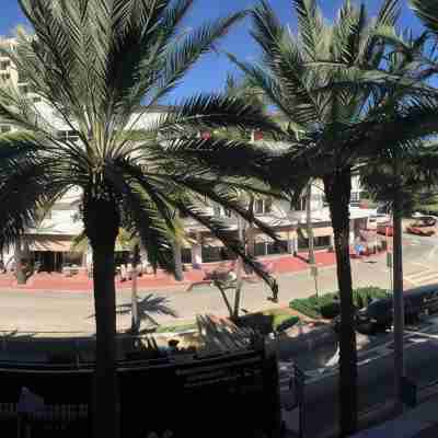 Miami Beach Luxury Condo On South Beach (Suite 303) Others