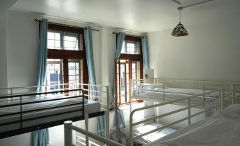 The Walrus Bar and Hostel