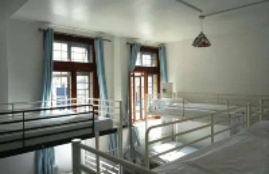 The Walrus Bar and Hostel