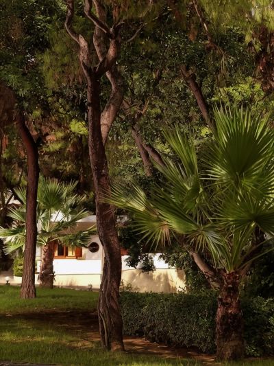 Garden Wyndham Loutraki Poseidon Resort Photo