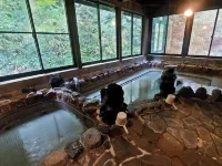 Tochiomata Onsen Healing Hot Spring Inn Jinpukan - Hot Springs