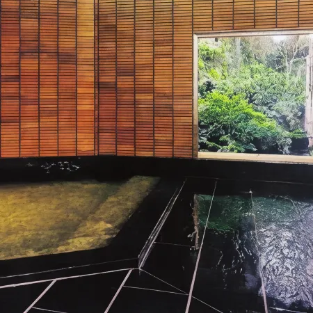 Tsuki No Shizuku Ryokan