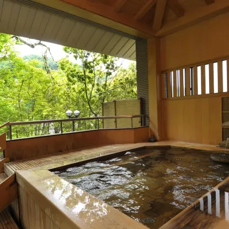Dia Palace Otemon