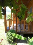Estelar Bungalow