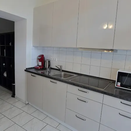 City Apartment 1 - Located directly in the pedestrian zone and Brühl Palace Park