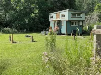 The Lily Pad - Wi-Fi