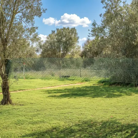 Es Marroig Villa and Spa