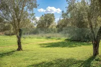 Es Marroig Villa and Spa