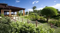 Sahara Beach Aquapark Resort - Wifi