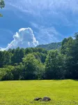 Zen Mountain Cabin: Forest-Bathing & Private Waterfall in Wine Country - 2성급