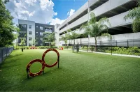Luxe Poolside Condo, King Bed, Near Mayo Clinic, St Johns Town Center & Beaches - Condos