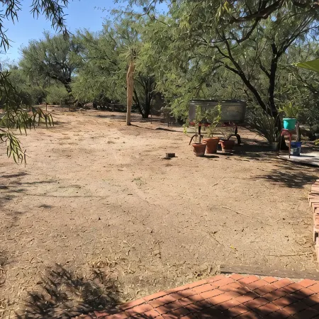 2 Br Home on 10.5 Acre Guest Ranch! Swim! Hike! Explore Nature! Private Yard!