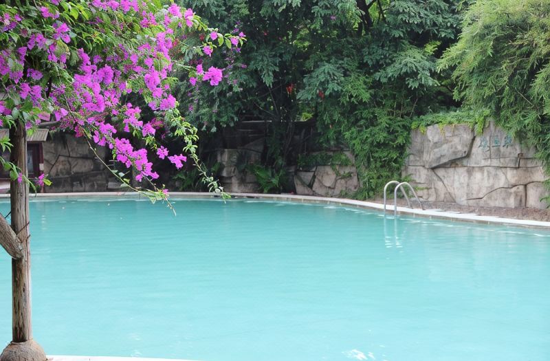 Tianci Hot Spring Resort photo 3