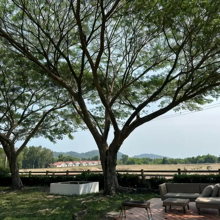 Kampu Nature Pool Villa Rayong