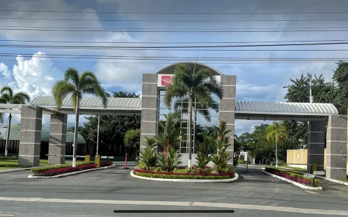 NJ Coronado
