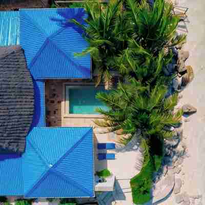 Villa Hibiscus Hotel Exterior