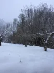 160 acre hunting and fishing lodge or private retreat. - Wifi